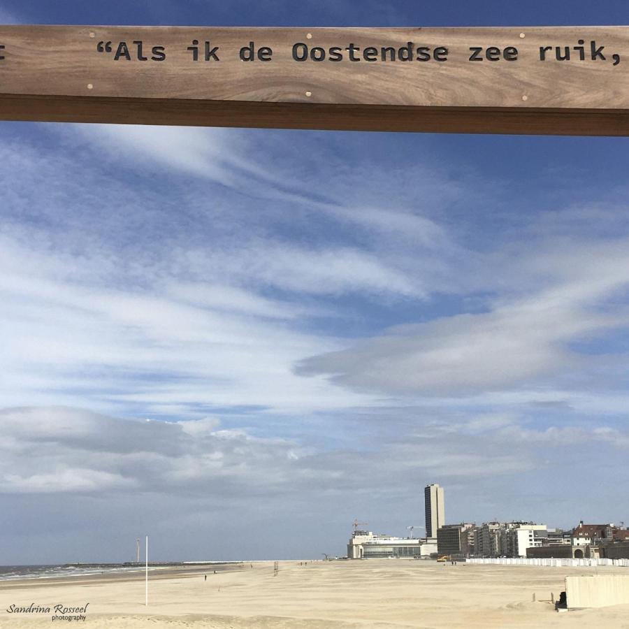 Knappe Studio Met Subliem Zeezicht! Ostende Kültér fotó
